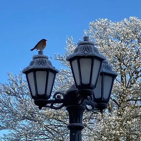 Inny River ベッド・アンド・ブレックファスト