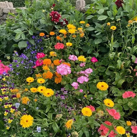 Inny River Bed & Breakfast Rathowen
