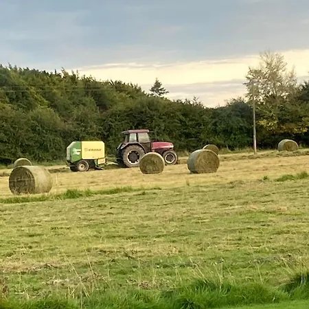 Bed & Breakfast Inny River 4*