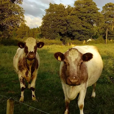 Bed & Breakfast Inny River Rathowen