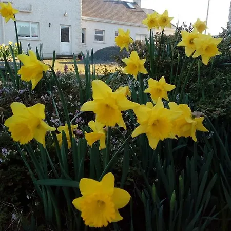 Bed & Breakfast Inny River 4*