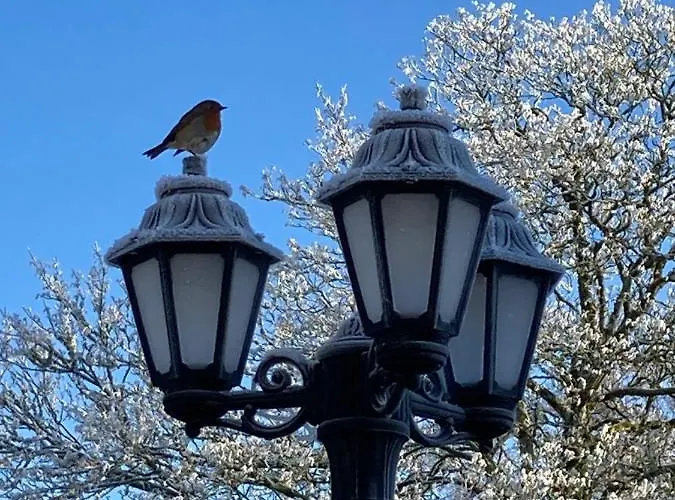 Inny River Bed & Breakfast