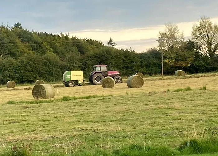 Bed & Breakfast Inny River 4*