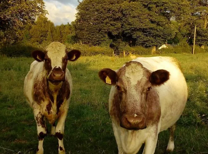 Bed & Breakfast Inny River Rathowen