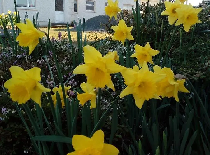 Bed & Breakfast Inny River 4*